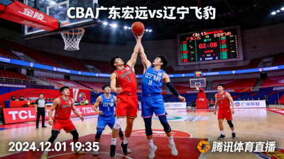 CBA广东宏远对阵辽宁飞豹篮球比赛直播画面预览图